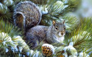 Squirrel in a pine wallpaper thumb
