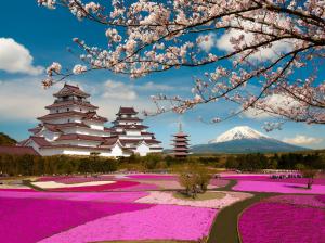 Aizuwakamatsu Castle, Fukushima, Japan, cherry flowers, park wallpaper thumb