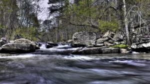 Nature, Trees, Forest, River, Water, Rock wallpaper thumb