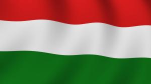 Waving Hungary Flag wallpaper thumb