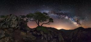 Nature, Landscape, Starry Night, Milky Way, Trees, Mountain wallpaper thumb
