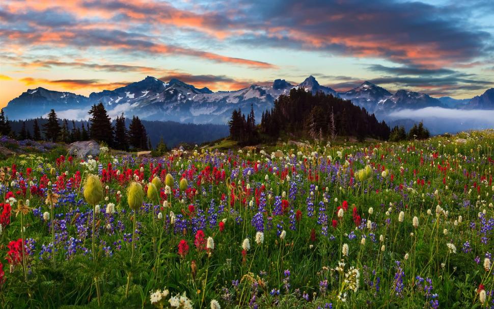Mountains, flowers, trees, clouds, sunset wallpaper,Mountains HD wallpaper,Flowers HD wallpaper,Trees HD wallpaper,Clouds HD wallpaper,Sunset HD wallpaper,2560x1600 wallpaper