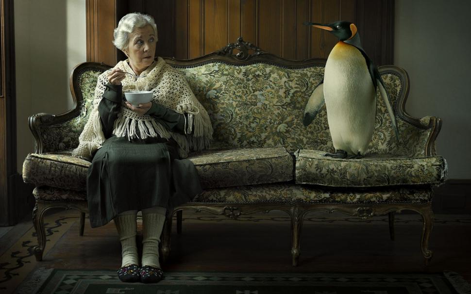 Old woman and her friend wallpaper,penguin HD wallpaper,house HD wallpaper,art HD wallpaper,1920x1200 wallpaper