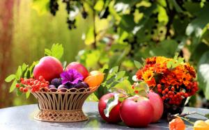 On the table, fruit, apples, plums, flowers, leaves, still life wallpaper thumb