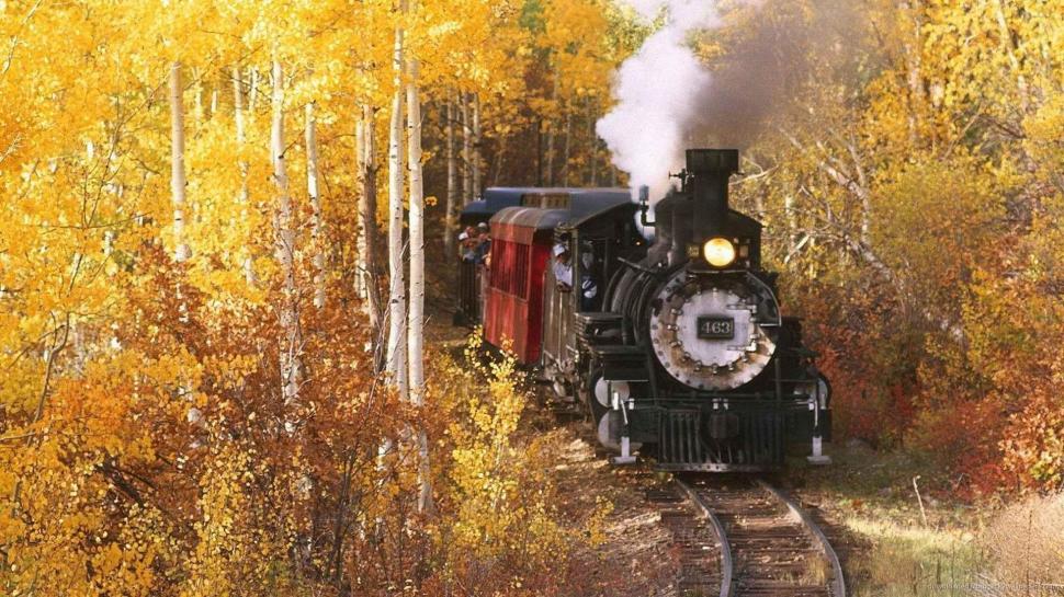 Cuyahoga Valley Steam Train In Autumn wallpaper,forest HD wallpaper,tracks HD wallpaper,steam HD wallpaper,train HD wallpaper,autumn HD wallpaper,cars HD wallpaper,1920x1080 wallpaper