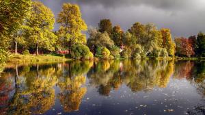 Autumn, trees, pond, lake, ducks wallpaper thumb