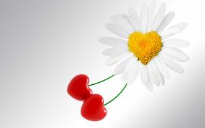 White daisy flower and cherries, love hearts wallpaper thumb