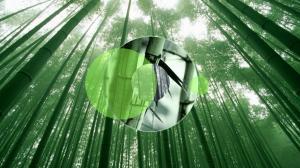 Bamboo Green Circle Abstract HD wallpaper thumb
