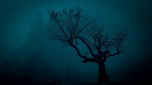 spooky nature trees landscape night wallpaper thumb