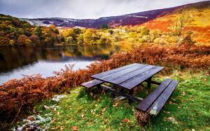 Beautiful landscape, autumn, river, trees, table, benches, grass, leaves wallpaper thumb