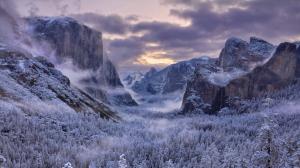 Yosemite Fog Mist Trees Mountains Landscape Forest Winter HD wallpaper thumb
