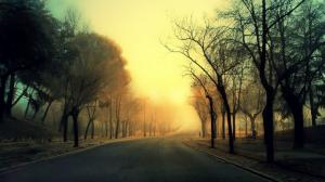 Road, trees, fog, morning wallpaper thumb