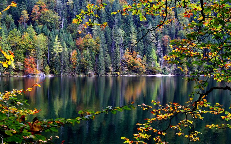Forest, trees, river, autumn, leaves wallpaper,Forest HD wallpaper,Trees HD wallpaper,River HD wallpaper,Autumn HD wallpaper,Leaves HD wallpaper,1920x1200 wallpaper