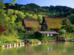 Japan, houses, farm, home, forest wallpaper thumb