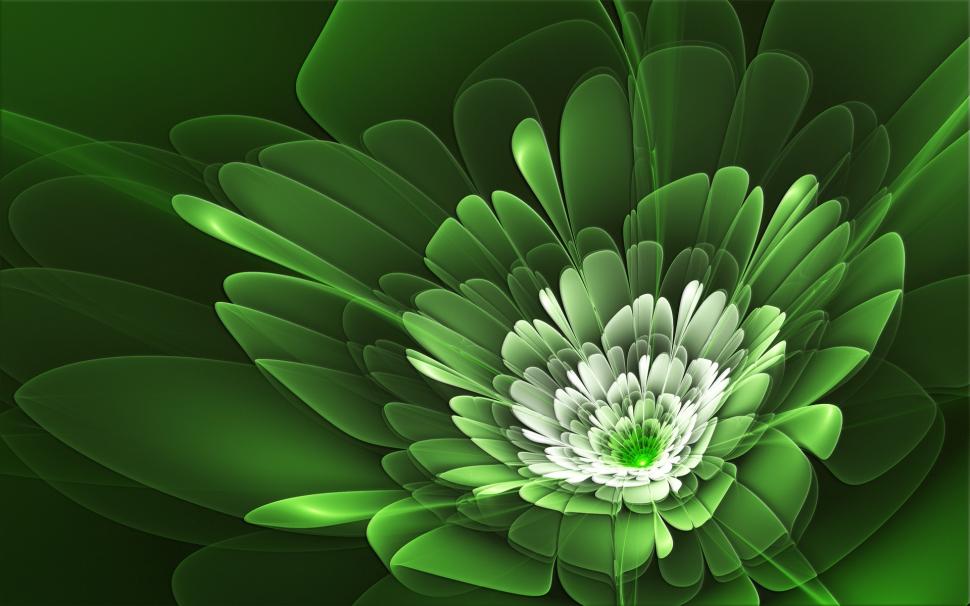 Flower petals are green wallpaper,Flower HD wallpaper,Petals HD wallpaper,Green HD wallpaper,1920x1200 wallpaper