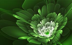 Flower petals are green wallpaper thumb