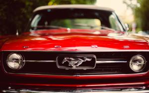 Red Ford Mustang Front wallpaper thumb
