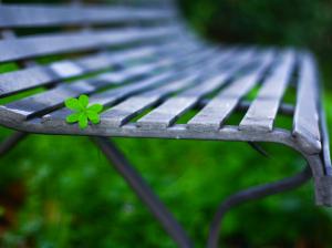 Green leaf, bench, bokeh, macro photography wallpaper thumb
