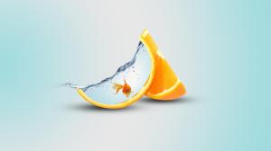 Orange, Fruit, Orange, Fish, Water wallpaper thumb