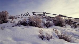 Winter In Cattle Country wallpaper thumb