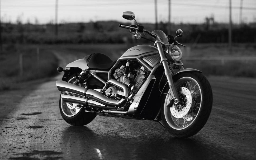 Black Harley Davidson wallpaper,moto HD wallpaper,front HD wallpaper,background HD wallpaper,1920x1200 wallpaper