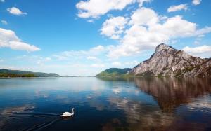 Mountain lake scenery, a swan in water wallpaper thumb
