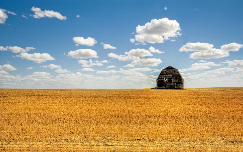 Quiet Field Small House wallpaper,small HD wallpaper,field HD wallpaper,house HD wallpaper,quiet HD wallpaper,nature & landscape HD wallpaper,2560x1600 wallpaper