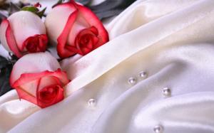 Wedding, Rose, Flowers, Pearl, Wedding, Photography, Depth Of Field wallpaper thumb