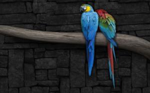Blue-and-yellow and a scarlet macaw wallpaper thumb