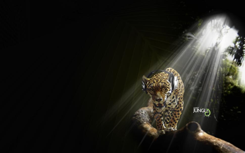 Jaguar in Audio Jungle HD wallpaper,in HD wallpaper,creative HD wallpaper,graphics HD wallpaper,creative & graphics HD wallpaper,jungle HD wallpaper,jaguar HD wallpaper,audio HD wallpaper,1920x1200 wallpaper