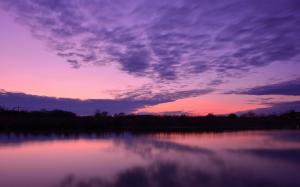 Lake water surface, trees, evening sunset, purple sky, clouds wallpaper thumb