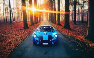Lotus blue car, autumn, road, sunlight, trees wallpaper thumb