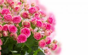 Pink Roses Bouquet wallpaper thumb
