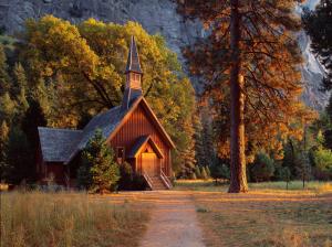 Church Building Cathedral Forest Trees Path Trail HD wallpaper thumb