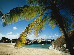 palm paradise Azure ocean tree rocks Sand sky Tranquil HD wallpaper thumb