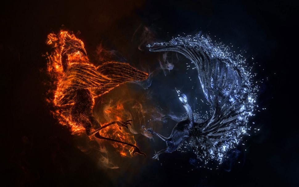 Fire and Water Bird wallpaper,fire and water HD wallpaper,fantasy background HD wallpaper,1920x1200 wallpaper