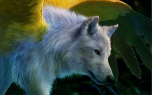 Art painting, white wolf, wings wallpaper thumb