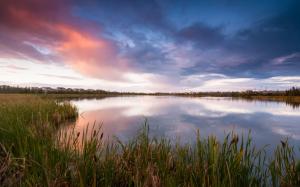 Canada landscape, lake, grass, reeds, evening, sky, clouds wallpaper thumb