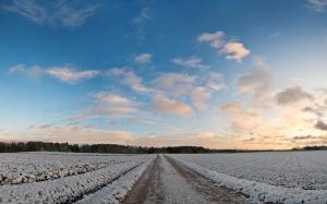 Road throught he snowy field wallpaper thumb