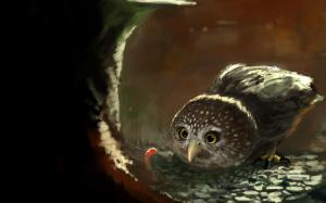 Owl looking at the worm wallpaper thumb