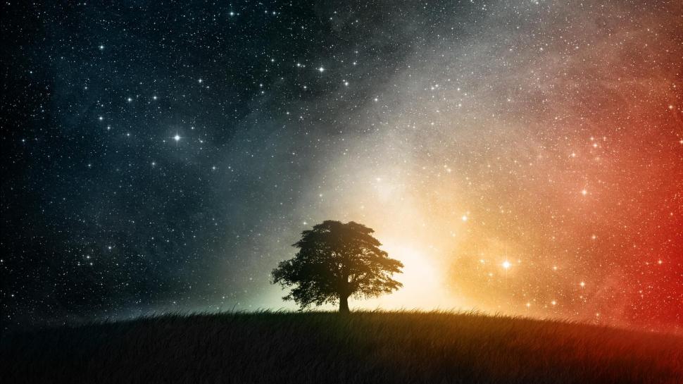 Lonely Tree On Starry Night wallpaper,Other HD wallpaper,1920x1080 wallpaper