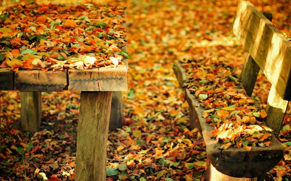 Autumn nature park, bench, table, fall leaves wallpaper,Autumn HD wallpaper,Nature HD wallpaper,Park HD wallpaper,Bench HD wallpaper,Table HD wallpaper,Fall HD wallpaper,Leaves HD wallpaper,1920x1200 wallpaper