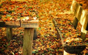 Autumn nature park, bench, table, fall leaves wallpaper thumb