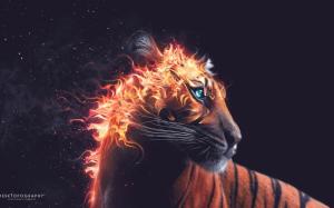 Tiger Fire HD wallpaper thumb