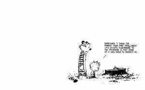 Calvin and Hobbes, Simple Background, Kid, Tiger, Cartoons wallpaper thumb