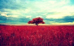 Red Tree and Grass wallpaper thumb