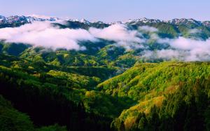 Japan Honshu Ishikawa, spring morning, beautiful nature landscape, mist, mountains wallpaper thumb