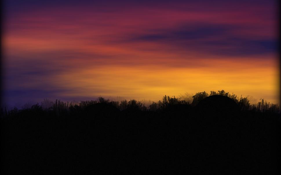 The Sunset wallpaper,sunset HD wallpaper,2560x1600 wallpaper