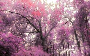 Magnificent Pink Forest wallpaper thumb
