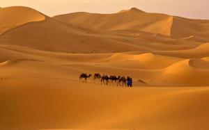 Camel Caravan In The Desert wallpaper thumb